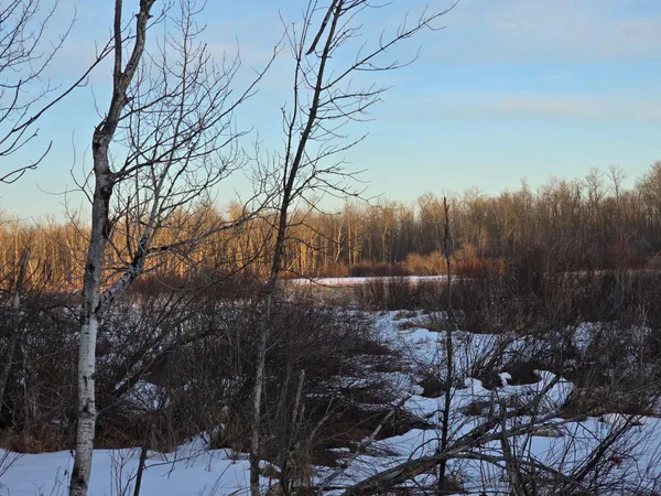 $22,500 | 47 Isle Mn 56342, Isle, MN 56342