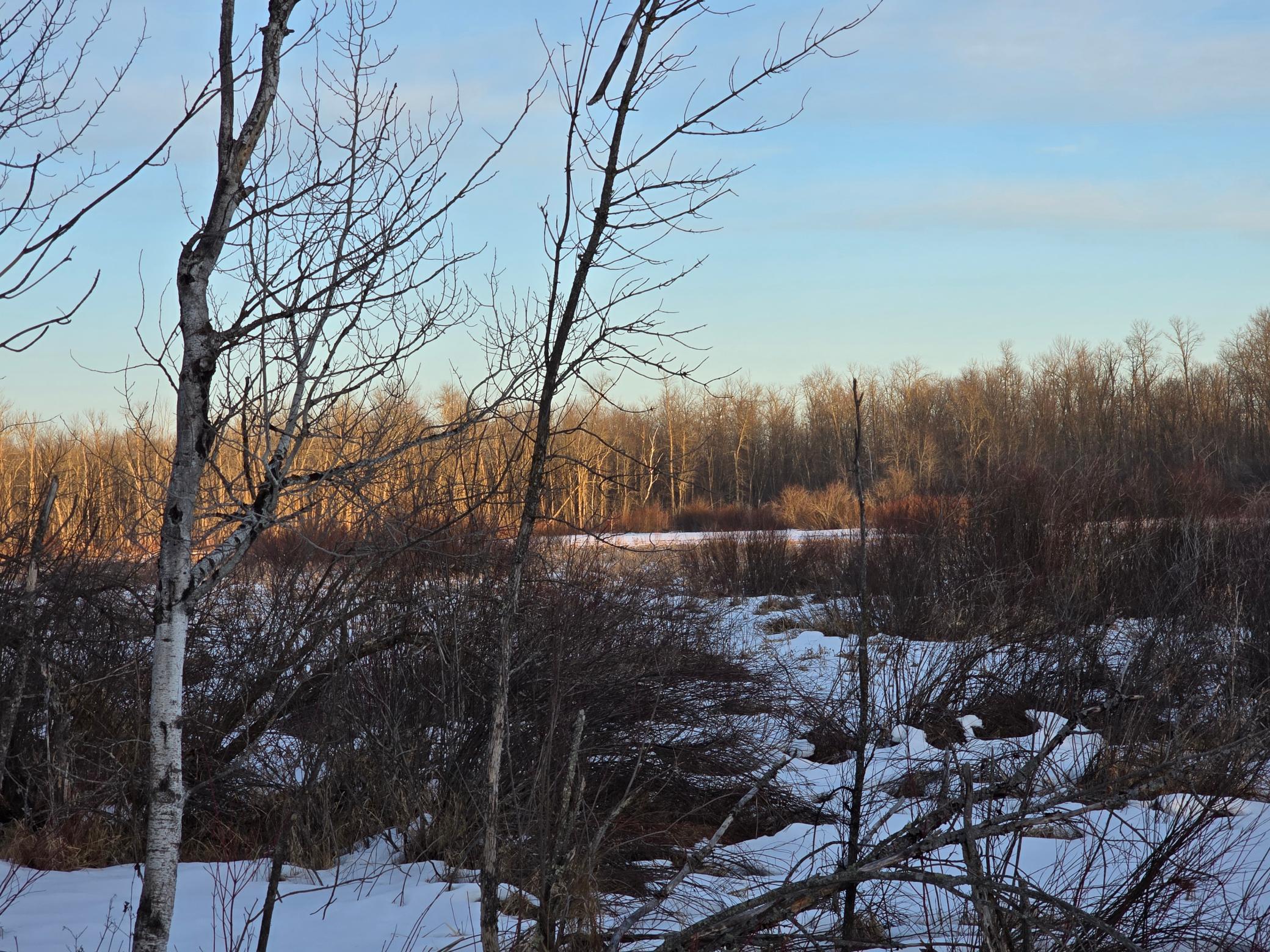 47 Isle Mn 56342 Isle, MN 56342 - Photo 1 of 13