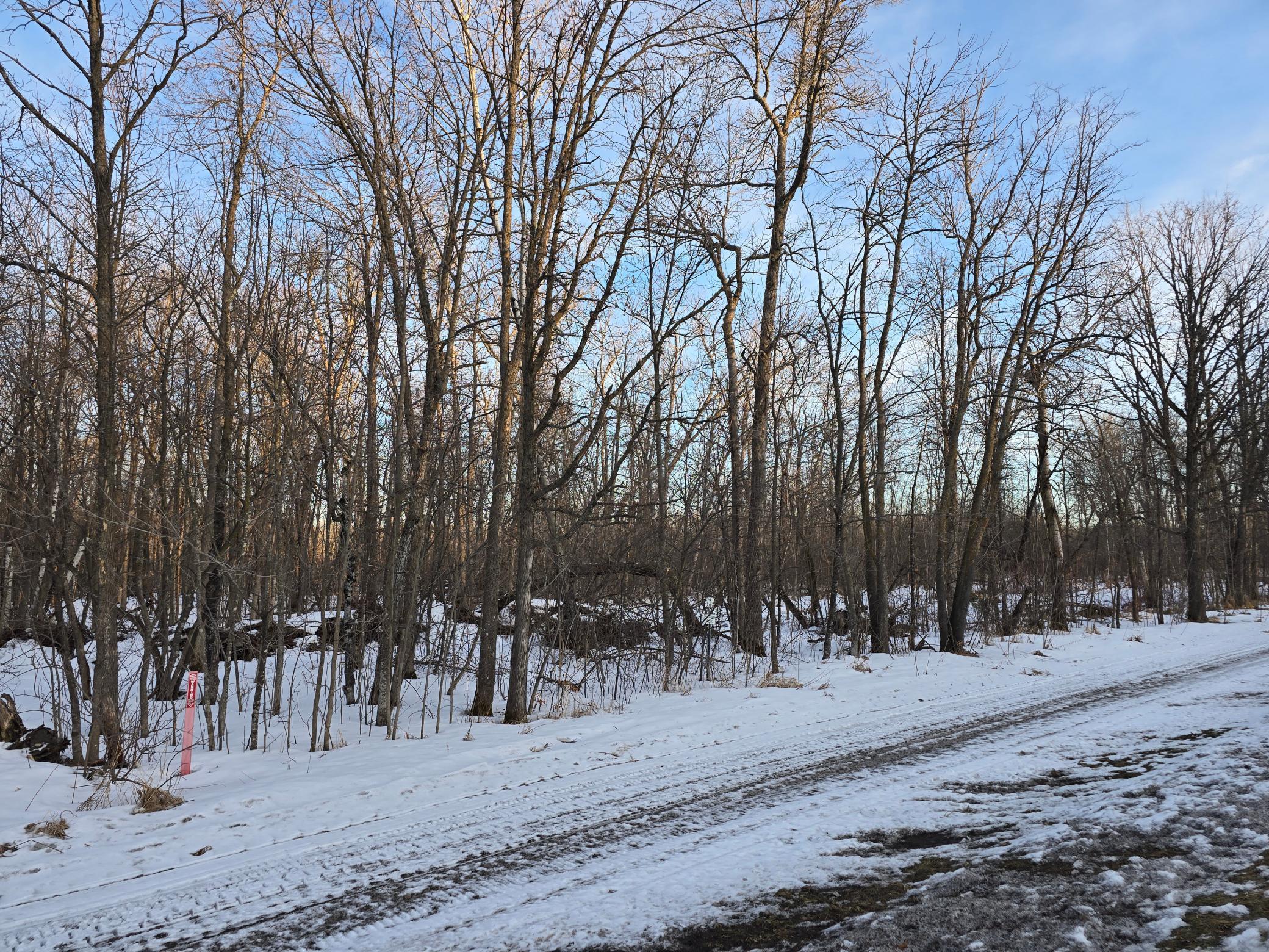 47 Isle Mn 56342 Isle, MN 56342 - Photo 12 of 13