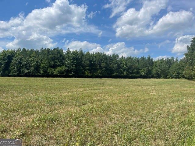 a view of a field with an trees in the background