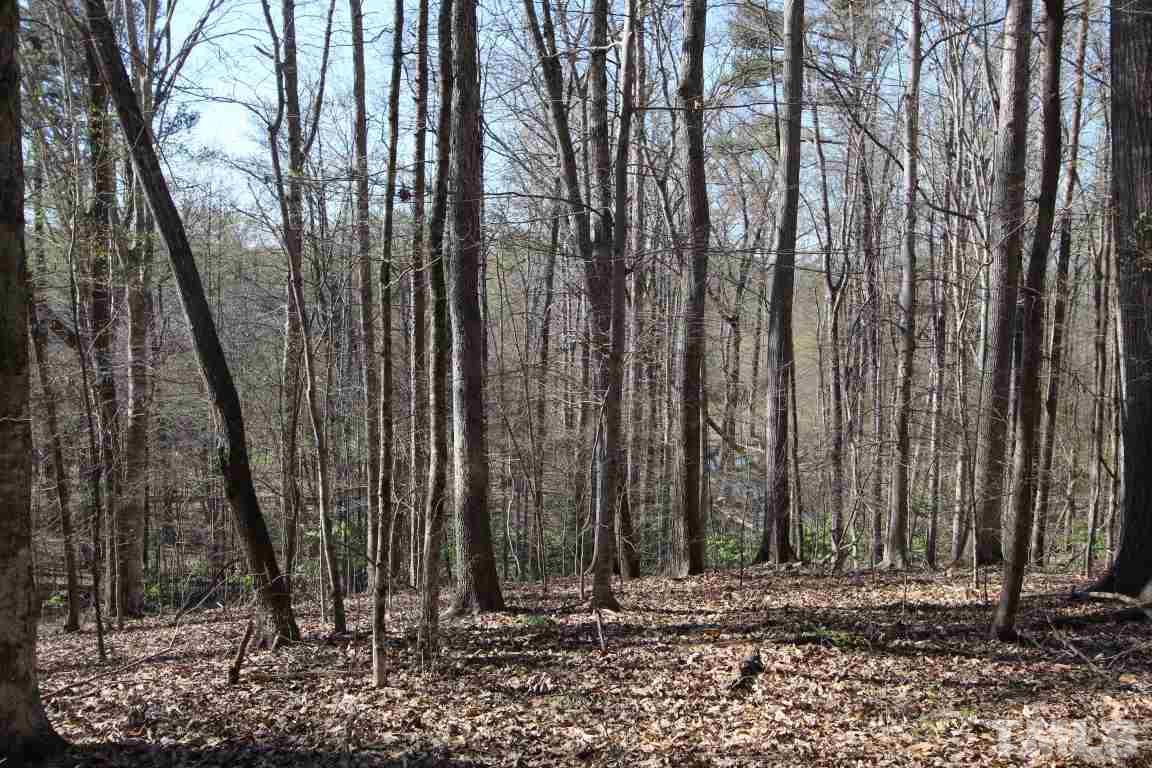 1303 Patterson Road Durham, NC 27704 - Photo 3 of 4 a view of a backyard with trees