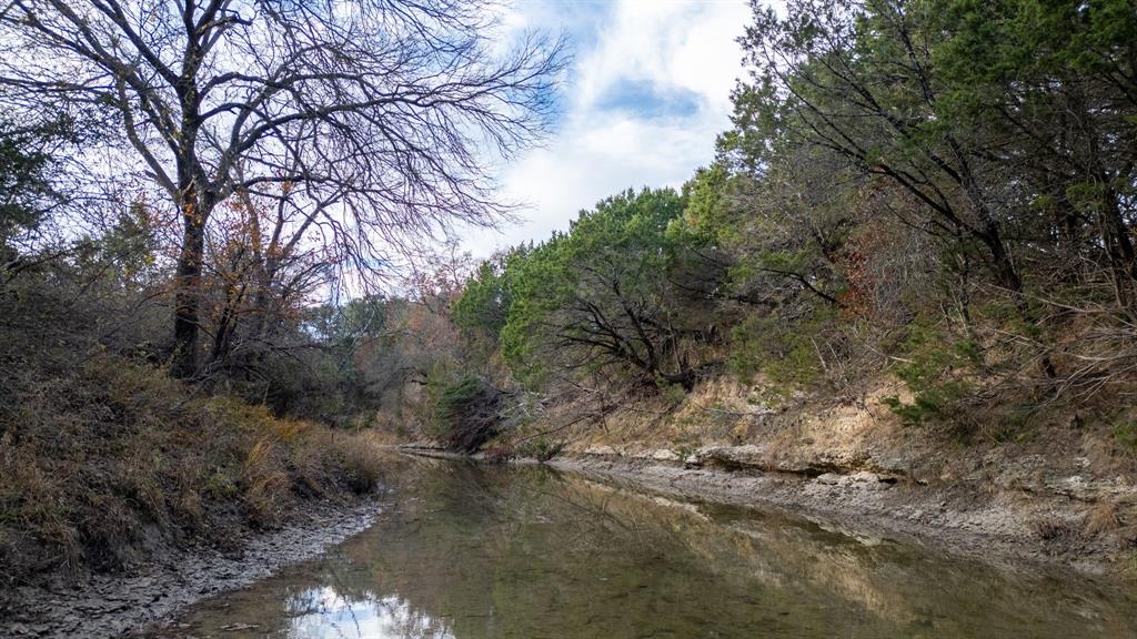 12615 Highway 190 Kempner, TX 76539 - Photo 12 of 39 a view of a forest with lots of trees