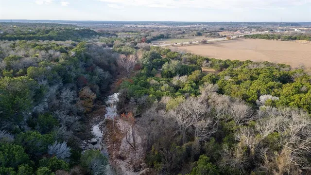 a view of a forest with trees in the background