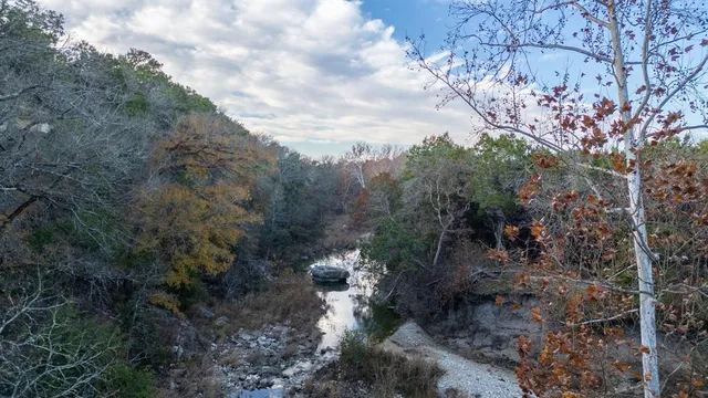 a view of a forest with a yard