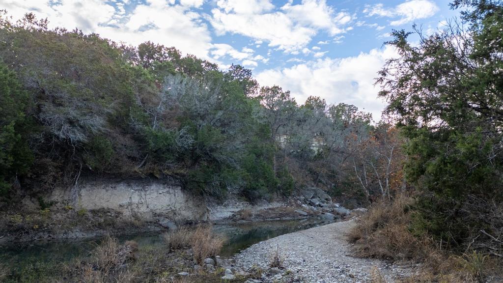 12615 Highway 190 Kempner, TX 76539 - Photo 23 of 39 a view of a forest with trees in the background