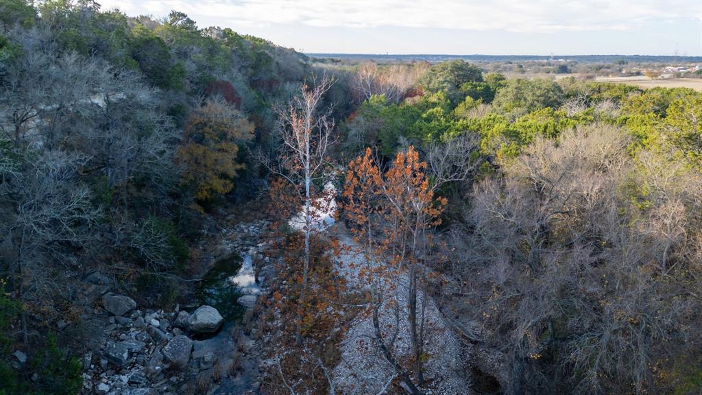 12615 Highway 190 Kempner, TX 76539 - Photo 24 of 39 a view of a forest with a yard