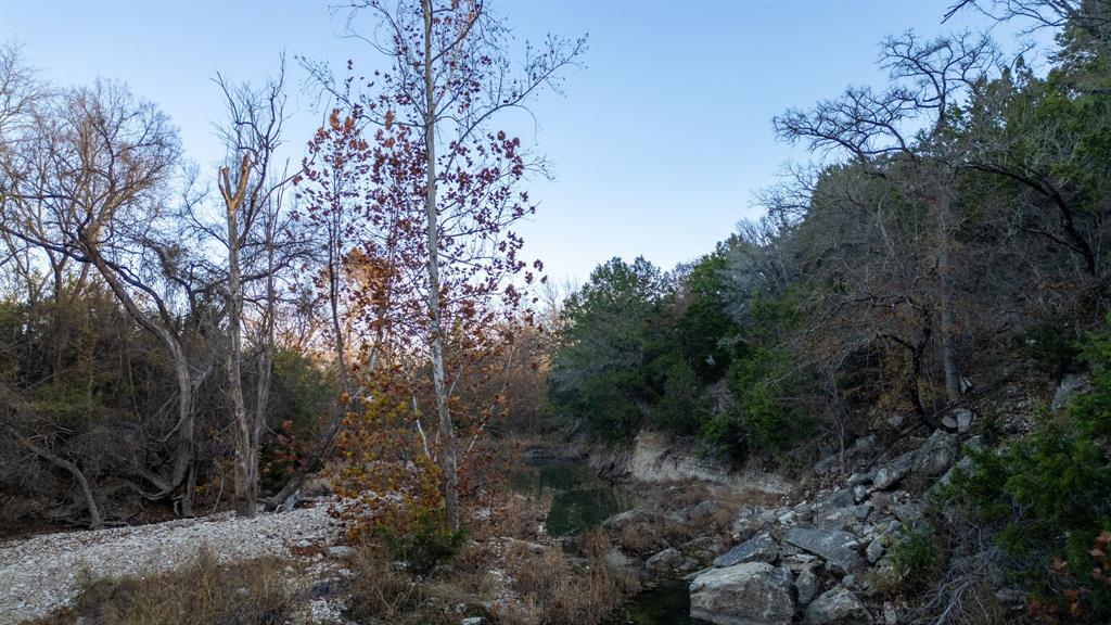 12615 Highway 190 Kempner, TX 76539 - Photo 25 of 39 a view of a forest with lots of trees