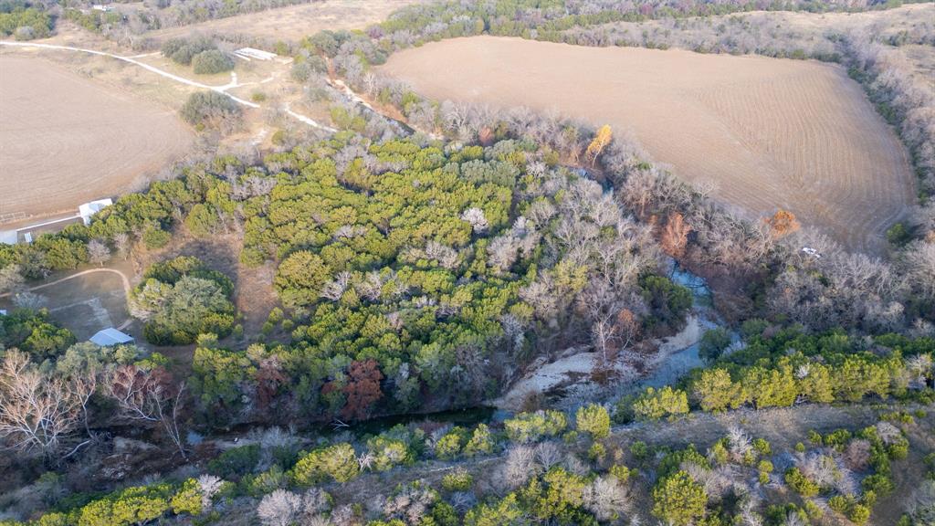12615 Highway 190 Kempner, TX 76539 - Photo 27 of 39 a view of a garden with a tree