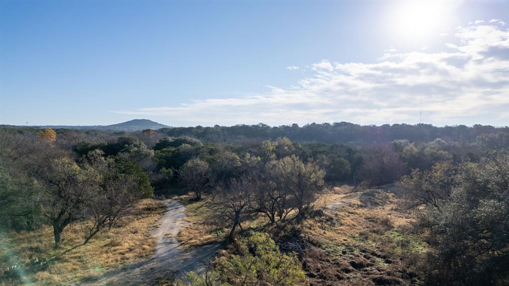 12615 Highway 190 Kempner, TX 76539 - Photo 31 of 39 a view of a bunch of trees in a field