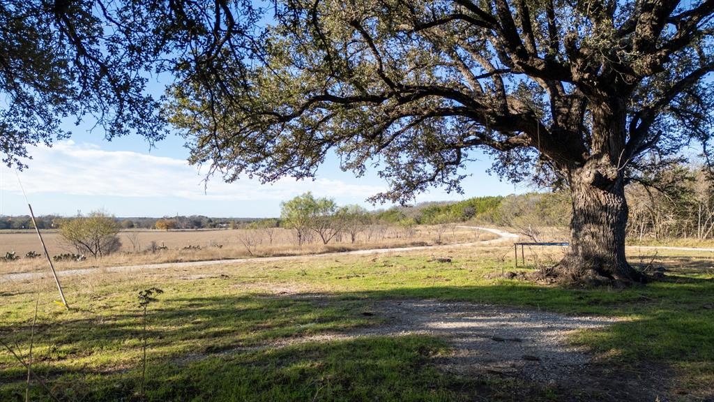 12615 Highway 190 Kempner, TX 76539 - Photo 5 of 39 a view of a yard with an trees