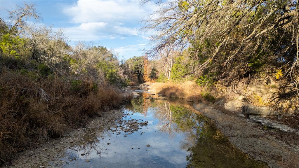 12615 Highway 190 Kempner, TX 76539 - Photo 6 of 39 a view of a yard with a tree