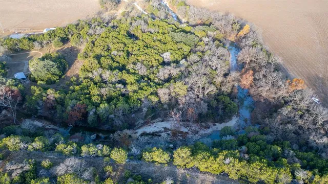 a view of a garden with a tree