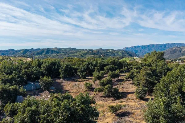 a view of a lot of trees and houses
