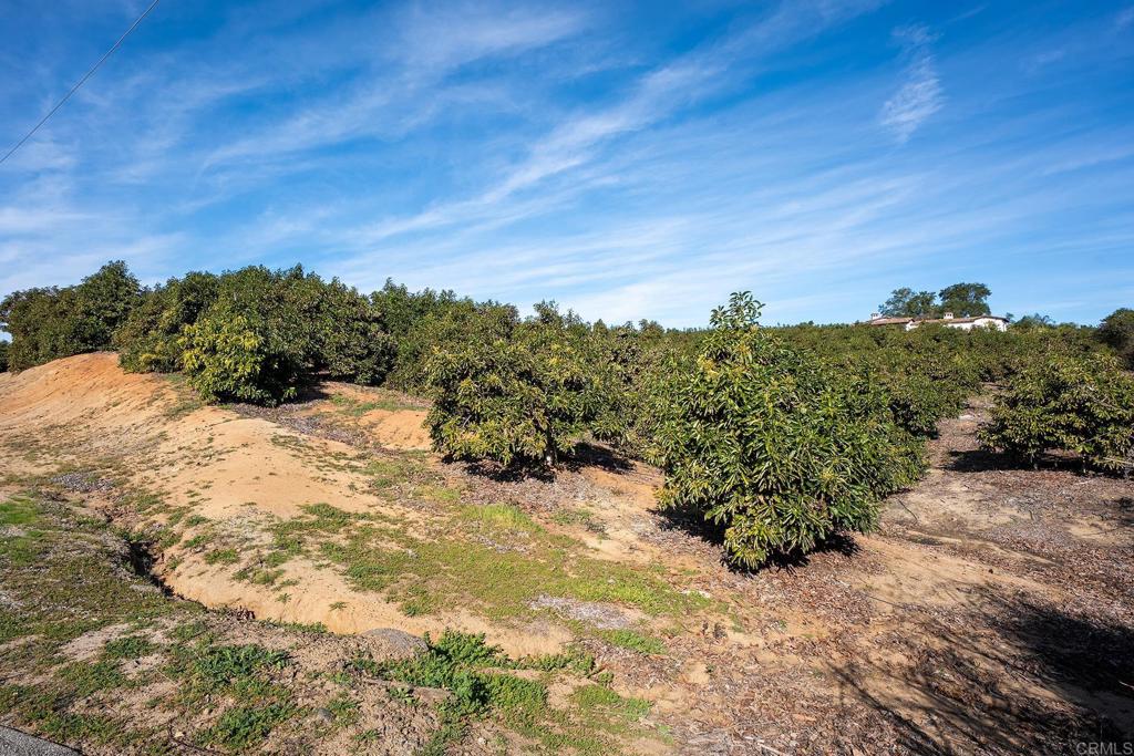 0 Serrano Road Temecula, CA 92590 - Photo 38 of 39