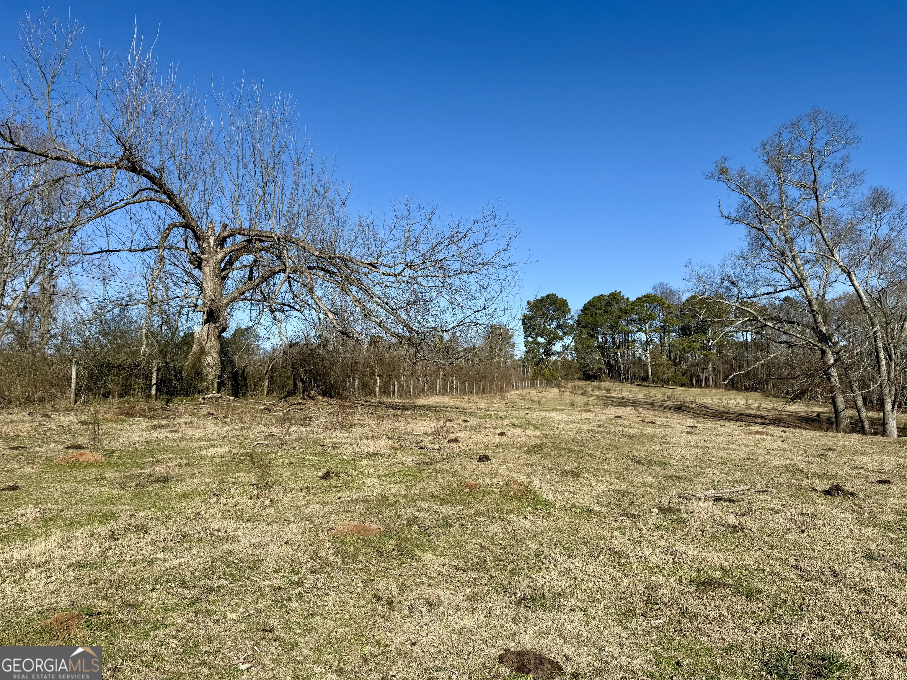 0 Kansas-jake Road Waco, GA 30182 - Photo 4 of 37