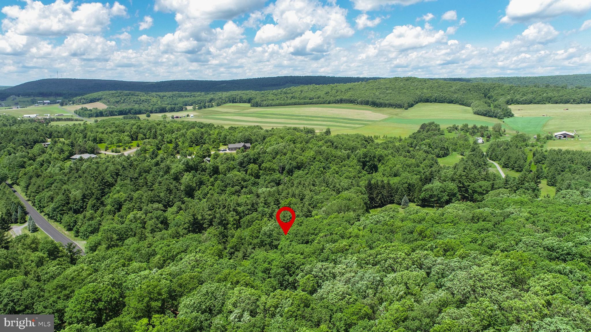 North Glade Road Swanton, MD 21561 - Photo 7 of 16