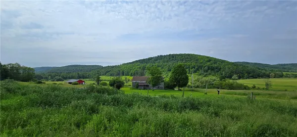 $525,000 | 2413 County Route 117, Troupsburg, NY 14885