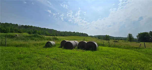 $525,000 | 2413 County Route 117, Troupsburg, NY 14885