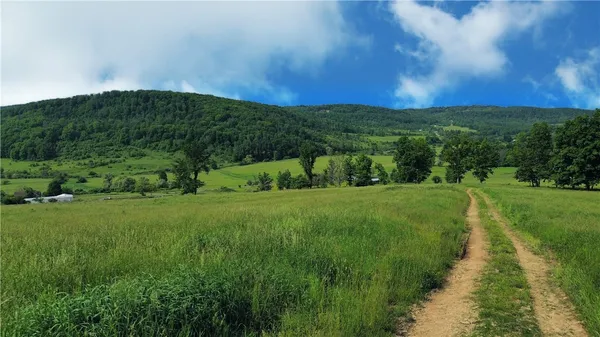 $525,000 | 2413 County Route 117, Troupsburg, NY 14885