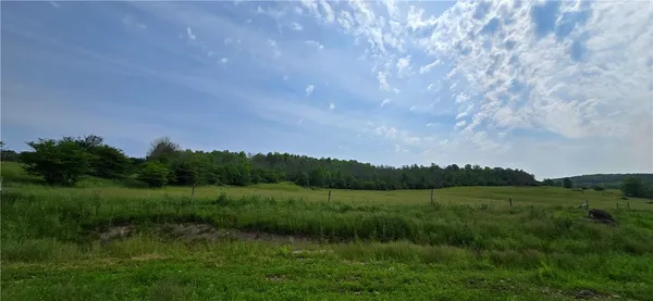 $525,000 | 2413 County Route 117, Troupsburg, NY 14885