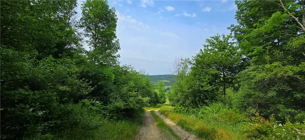 $525,000 | 2413 County Route 117, Troupsburg, NY 14885