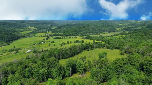 $525,000 | 2413 County Route 117, Troupsburg, NY 14885