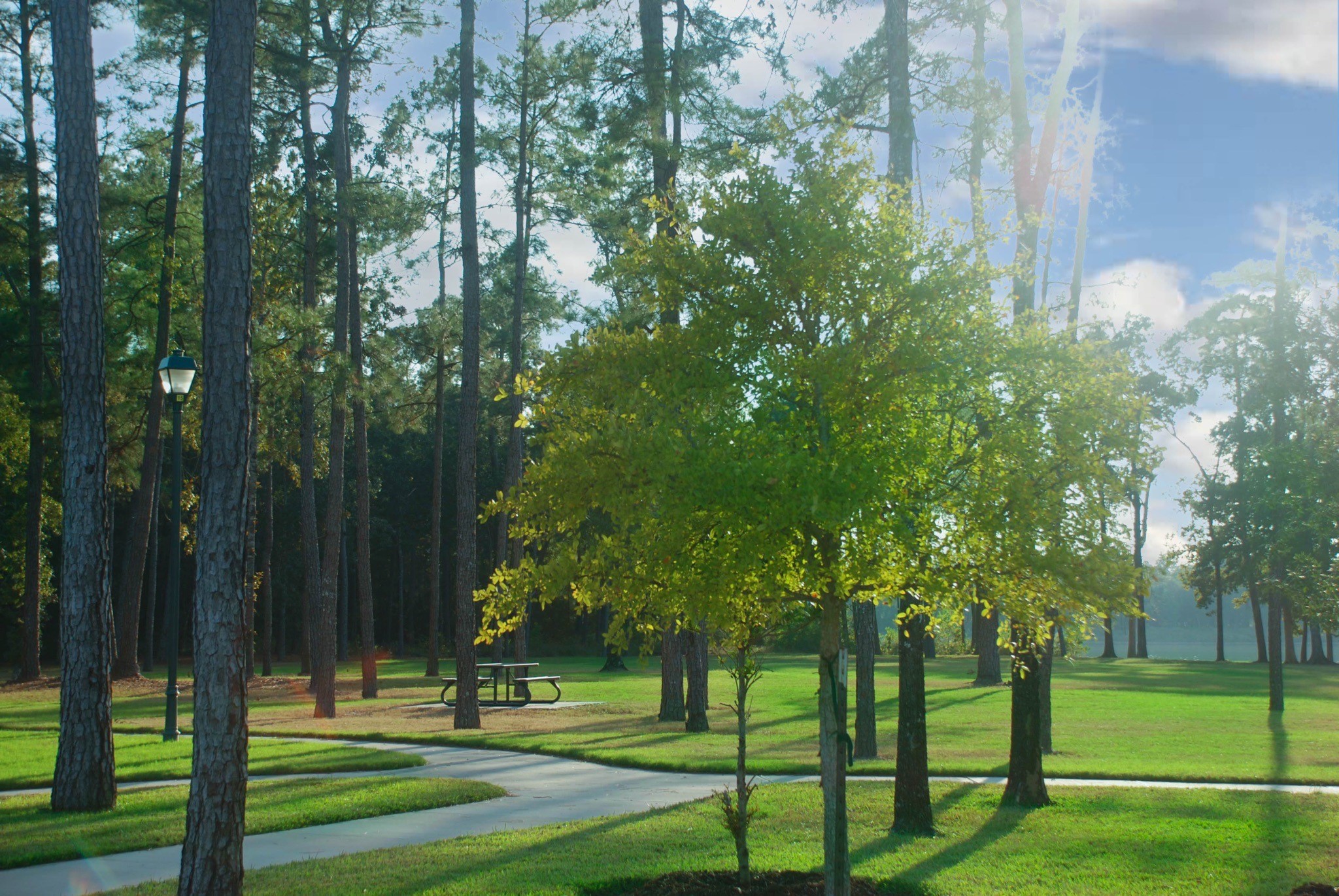 4242 Starling Stream Drive Spring, TX 77386 - Photo 12 of 21 a view of a park