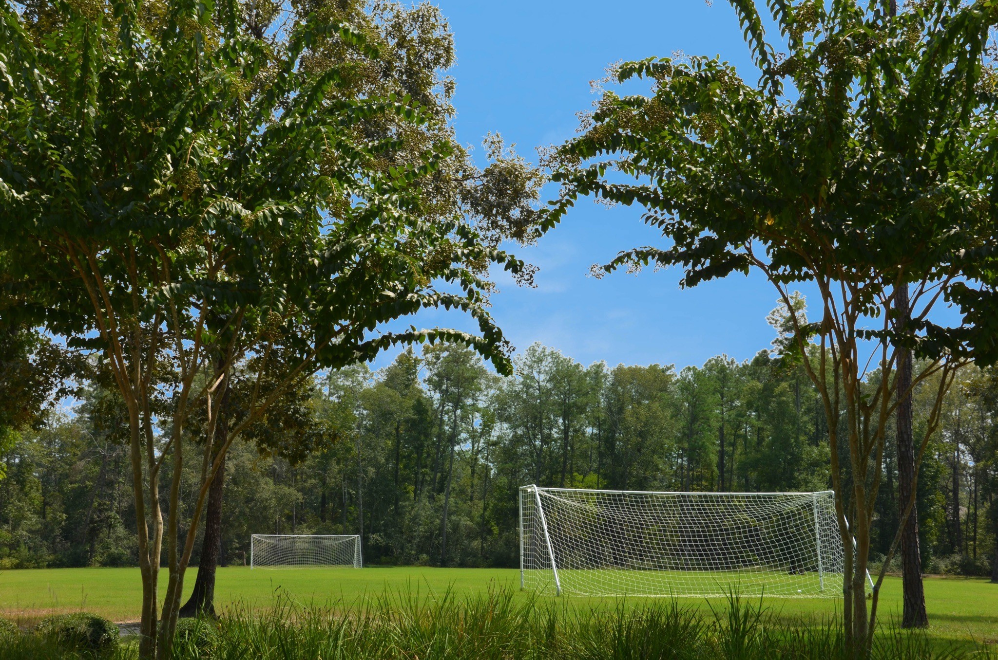 4242 Starling Stream Drive Spring, TX 77386 - Photo 16 of 21 a view of outdoor space and yard
