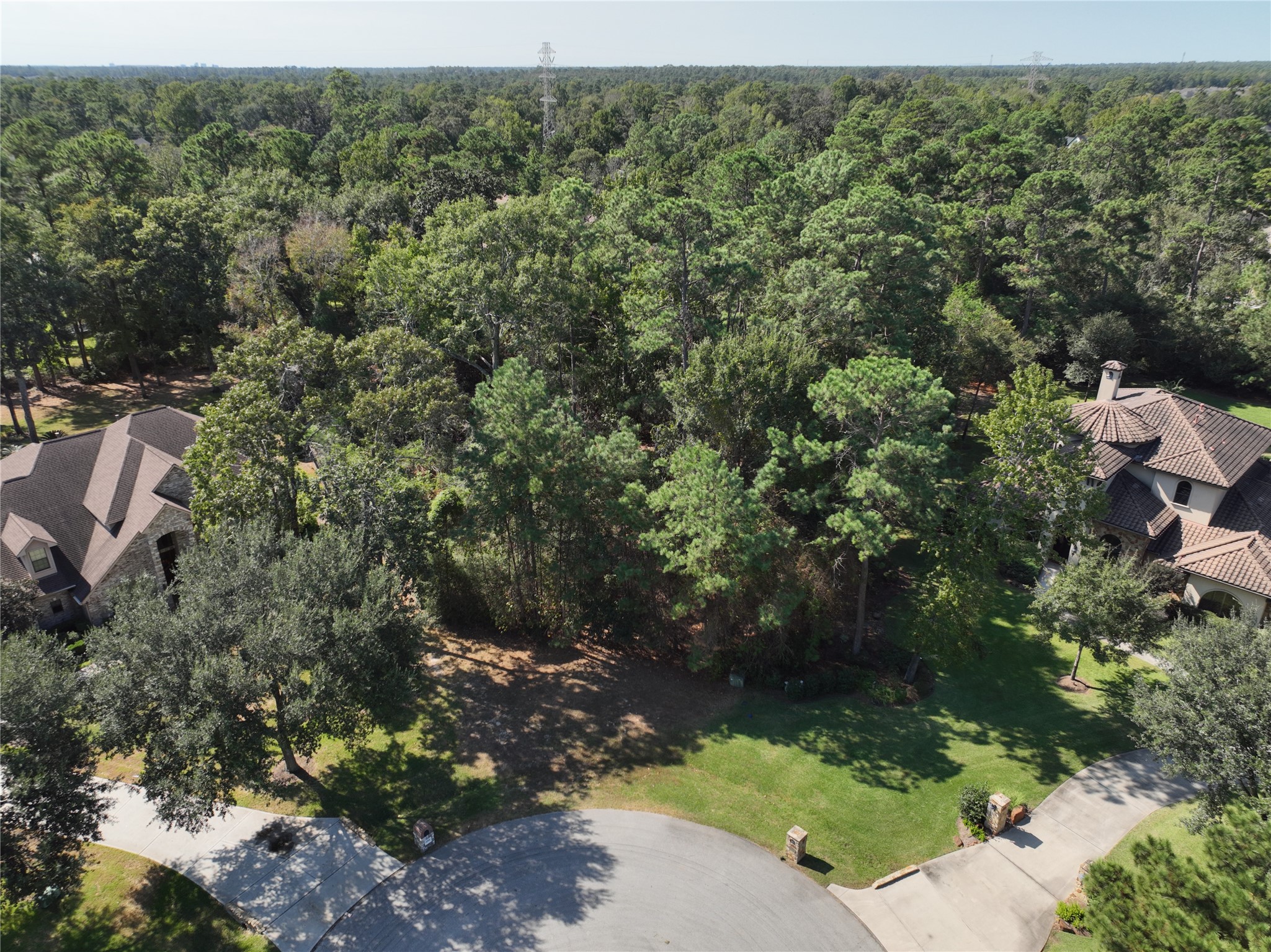 4242 Starling Stream Drive Spring, TX 77386 - Photo 2 of 21 a view of a forest with a street