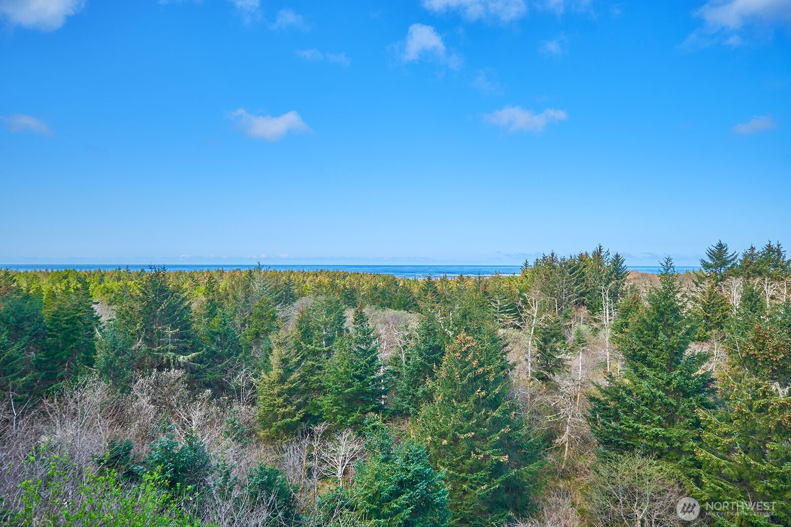 2815 Willows Road, Unit 229 Seaview, WA 98644 - Photo 8 of 25 a view of an outdoor space and a yard