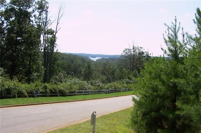 a view of a yard with a tree
