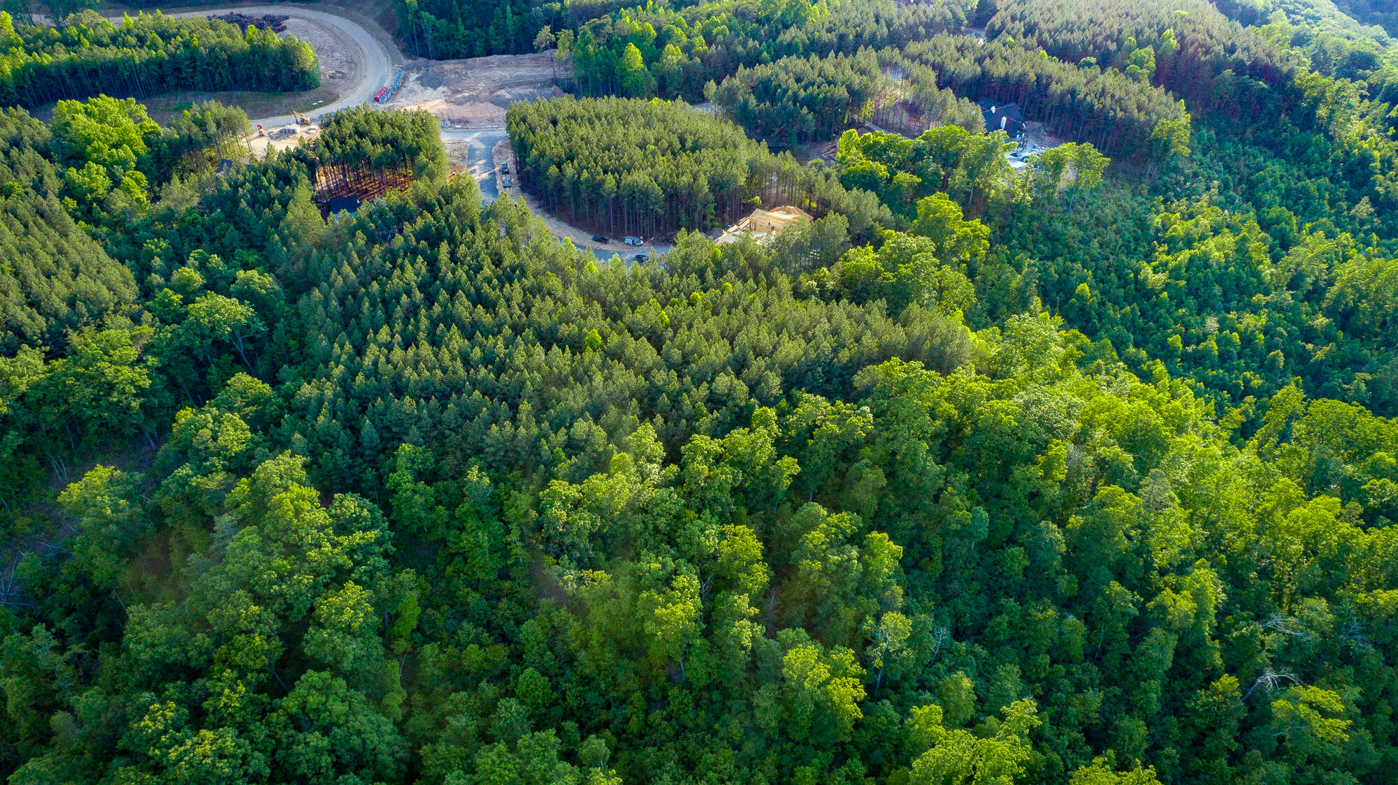 0 Back Basin Trail, Unit LOT 1244 Chattanooga, TN 37419 - Photo 76 of 119 0 Back Basin Trail - Lot 1244 HD-36