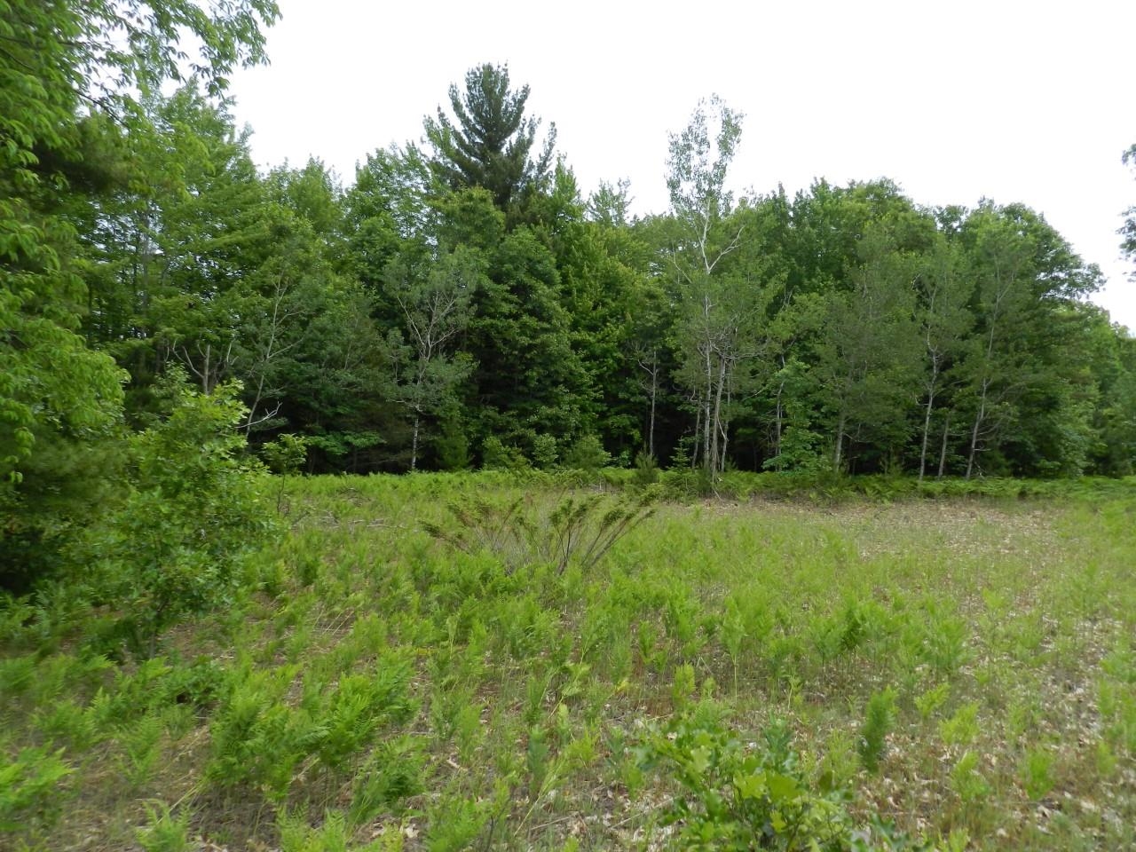 0 Riley Whitehall, MI 49461 - Photo 3 of 26