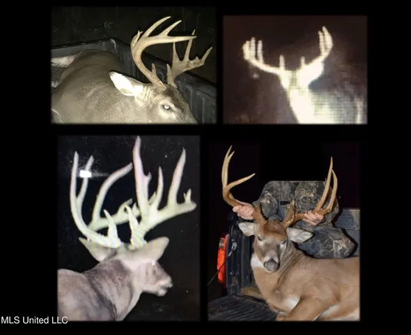 $2,044,775 | 222 Beaverdam Road, Camden, MS 39045