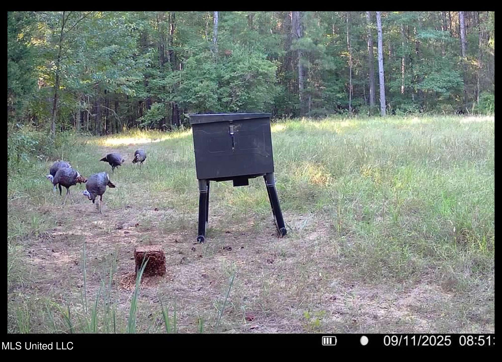 222 Beaverdam Road Camden, MS 39045 - Photo 13 of 42 gobblers 9.11.25 madison