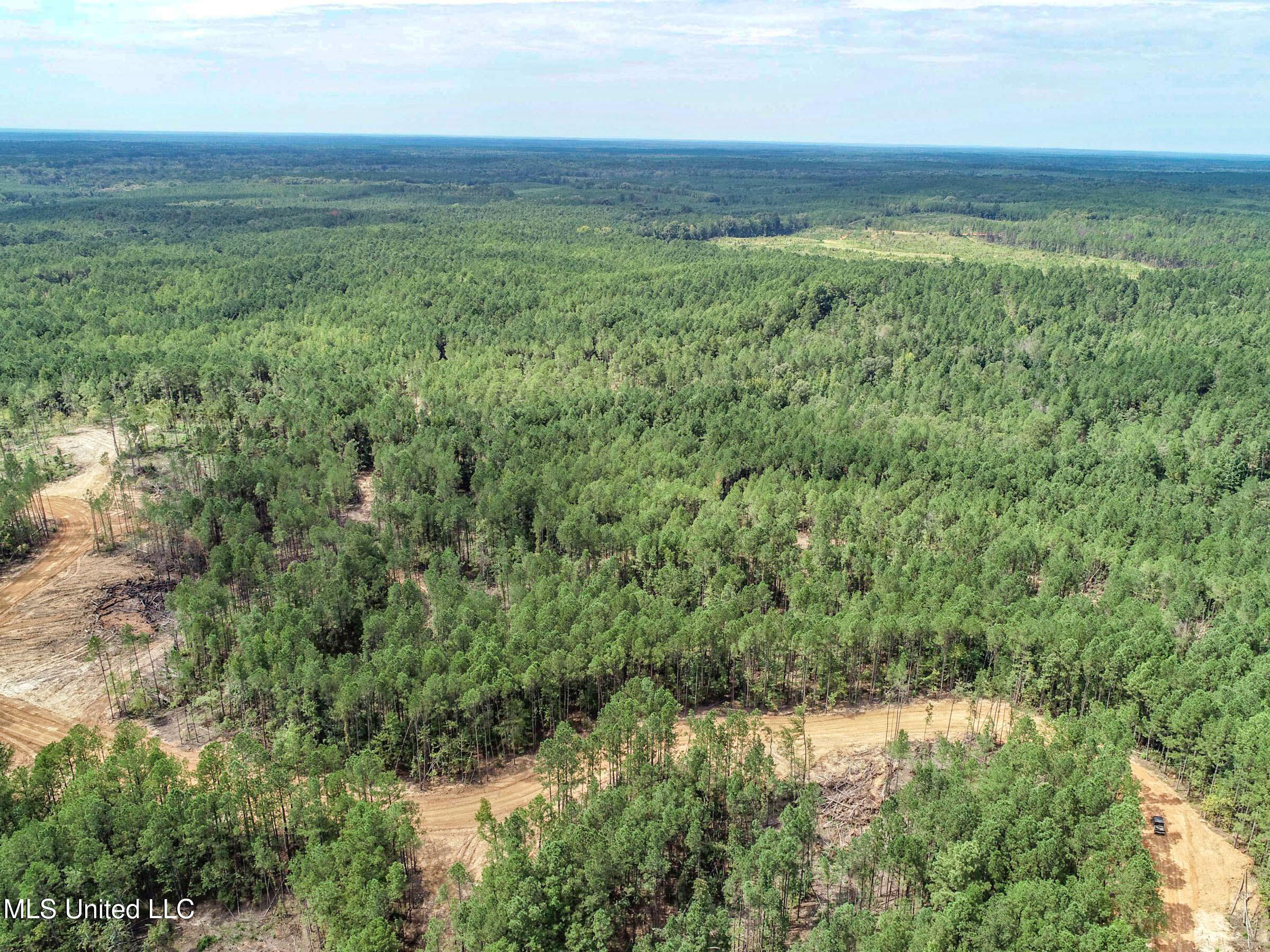 222 Beaverdam Road Camden, MS 39045 - Photo 15 of 42 3adjhmad65