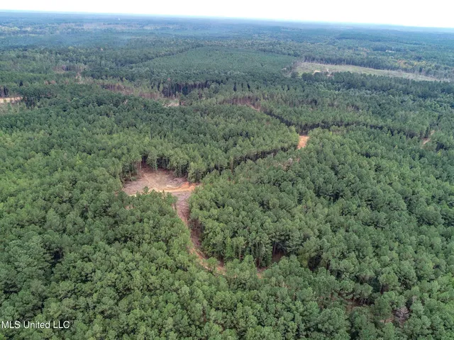 $2,044,775 | 222 Beaverdam Road, Camden, MS 39045