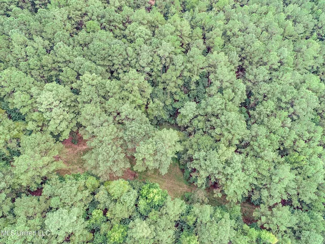 $2,044,775 | 222 Beaverdam Road, Camden, MS 39045