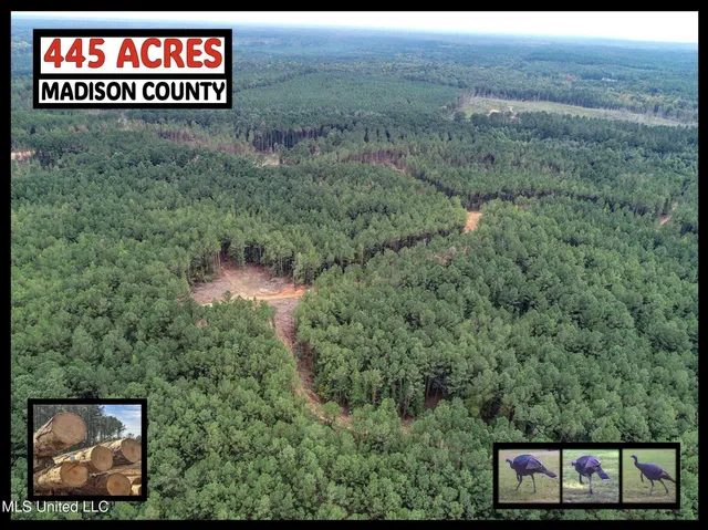 $2,044,775 | 222 Beaverdam Road, Camden, MS 39045