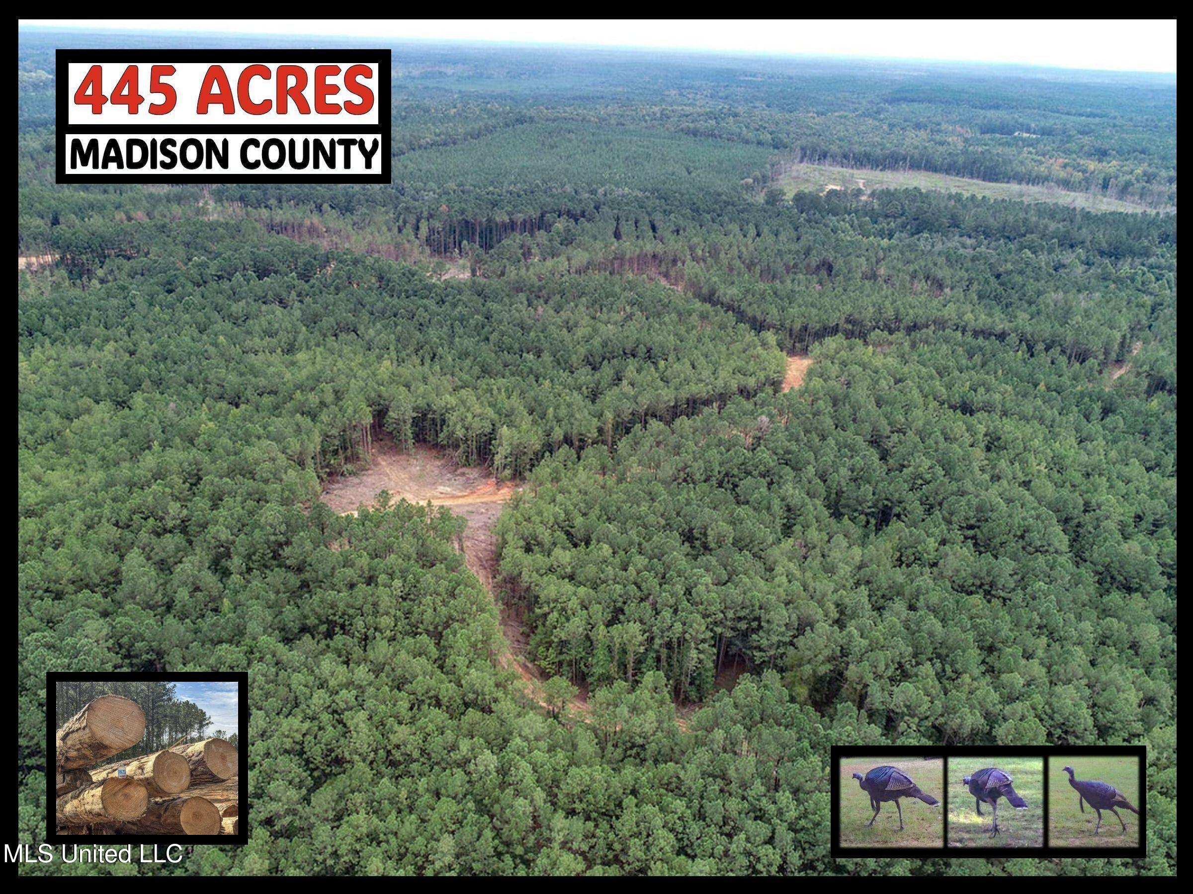 222 Beaverdam Road Camden, MS 39045 - Photo 2 of 42 445ACMadisonCoE