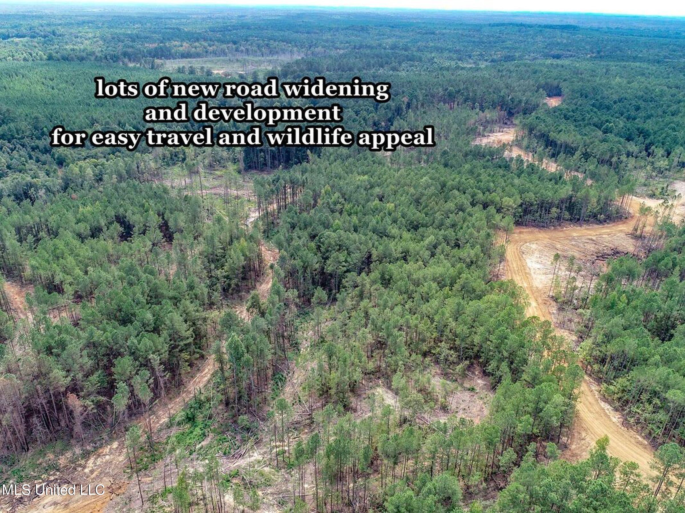 222 Beaverdam Road Camden, MS 39045 - Photo 21 of 42 3adjhmad75b1