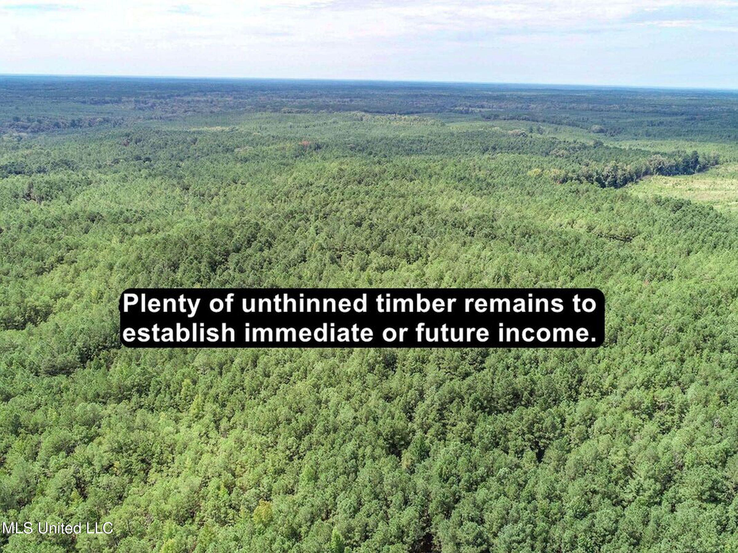 222 Beaverdam Road Camden, MS 39045 - Photo 22 of 42 3adjhmad73b