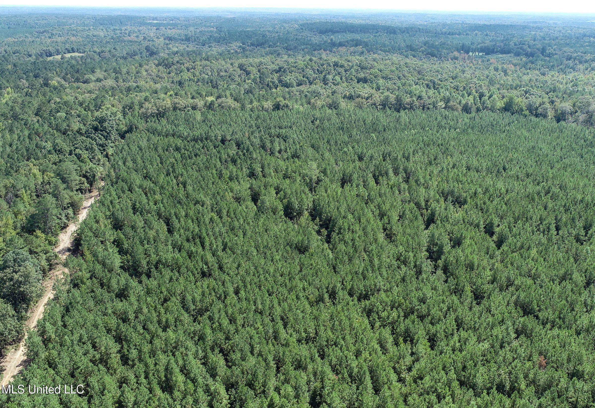 222 Beaverdam Road Camden, MS 39045 - Photo 23 of 42 4djhmad51