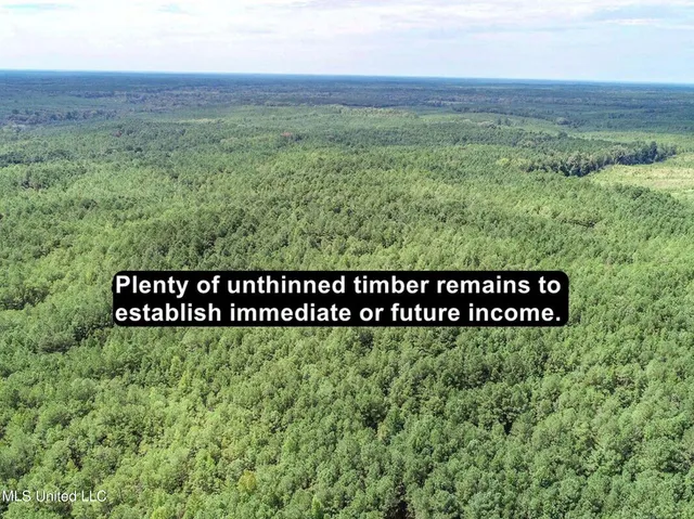 $2,044,775 | 222 Beaverdam Road, Camden, MS 39045