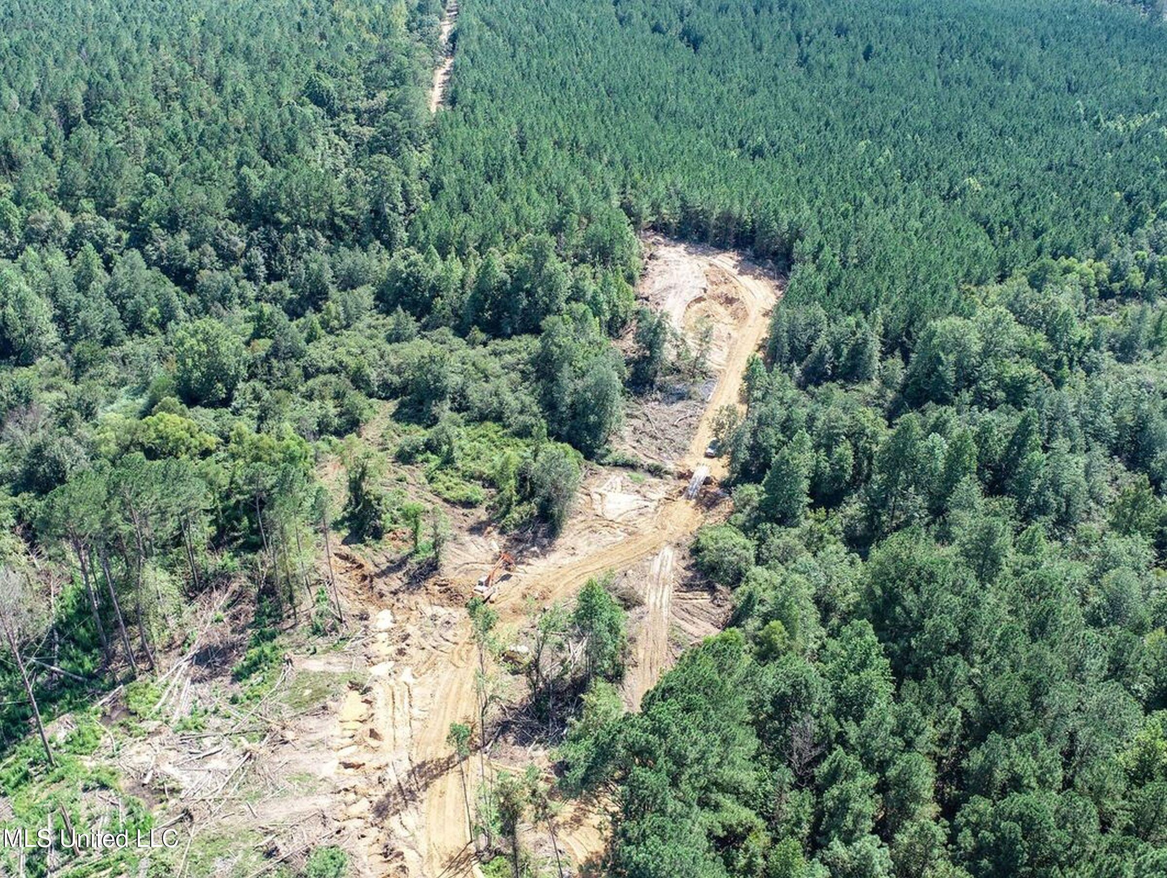 222 Beaverdam Road Camden, MS 39045 - Photo 25 of 42 4djhmad46