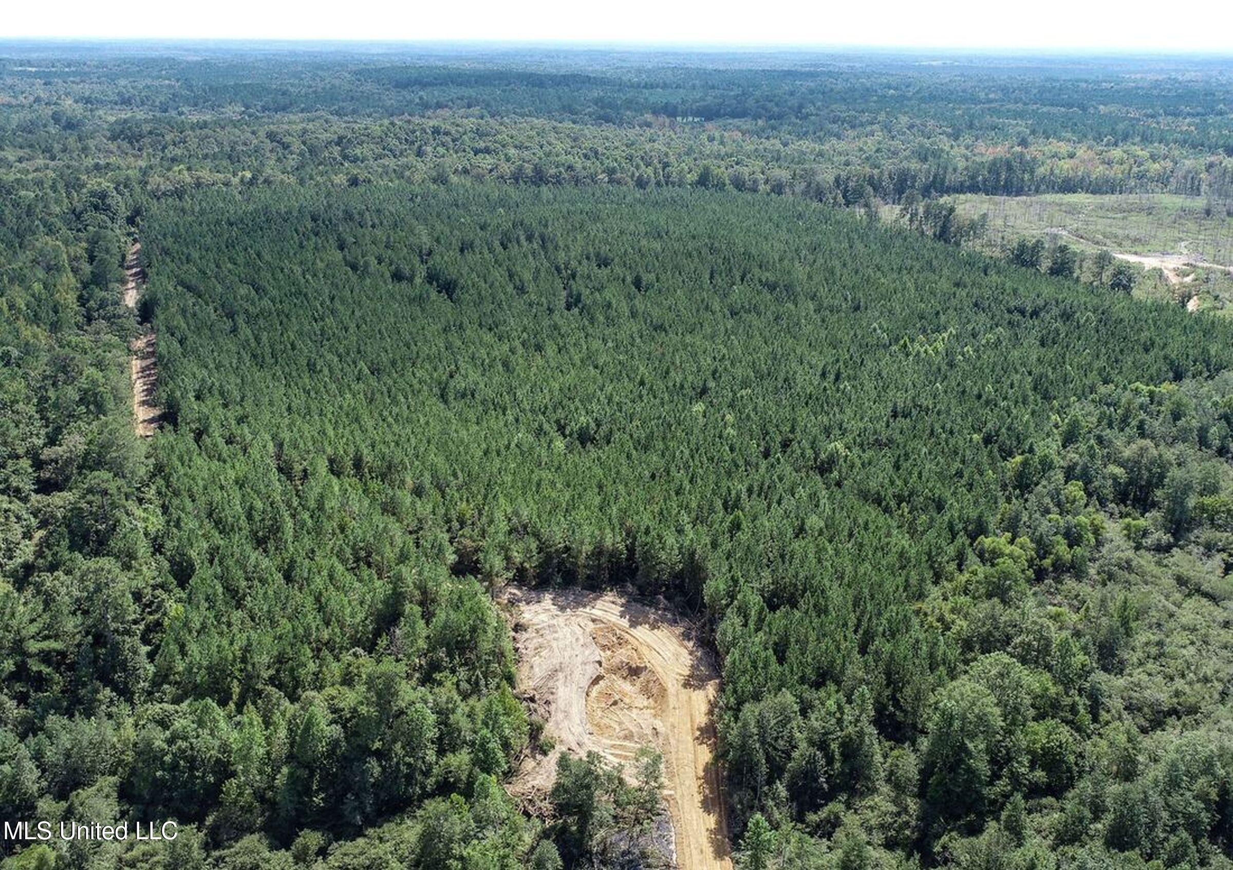 222 Beaverdam Road Camden, MS 39045 - Photo 28 of 42 4djhmad48a