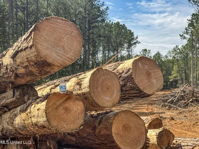 $2,044,775 | 222 Beaverdam Road, Camden, MS 39045