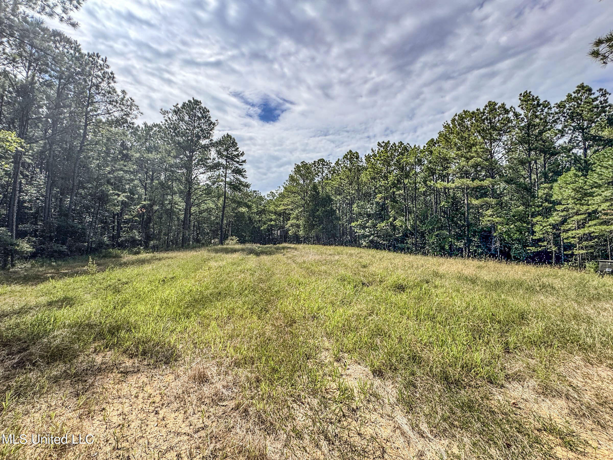 222 Beaverdam Road Camden, MS 39045 - Photo 32 of 42 7djhmad56