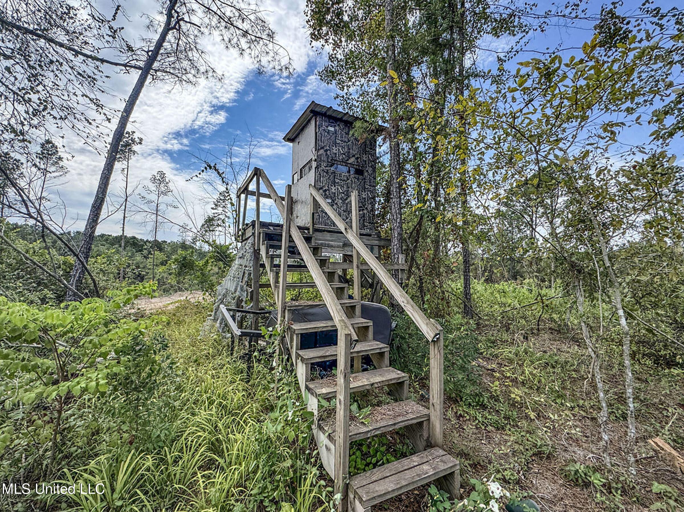 222 Beaverdam Road Camden, MS 39045 - Photo 37 of 42 7djhmad35a