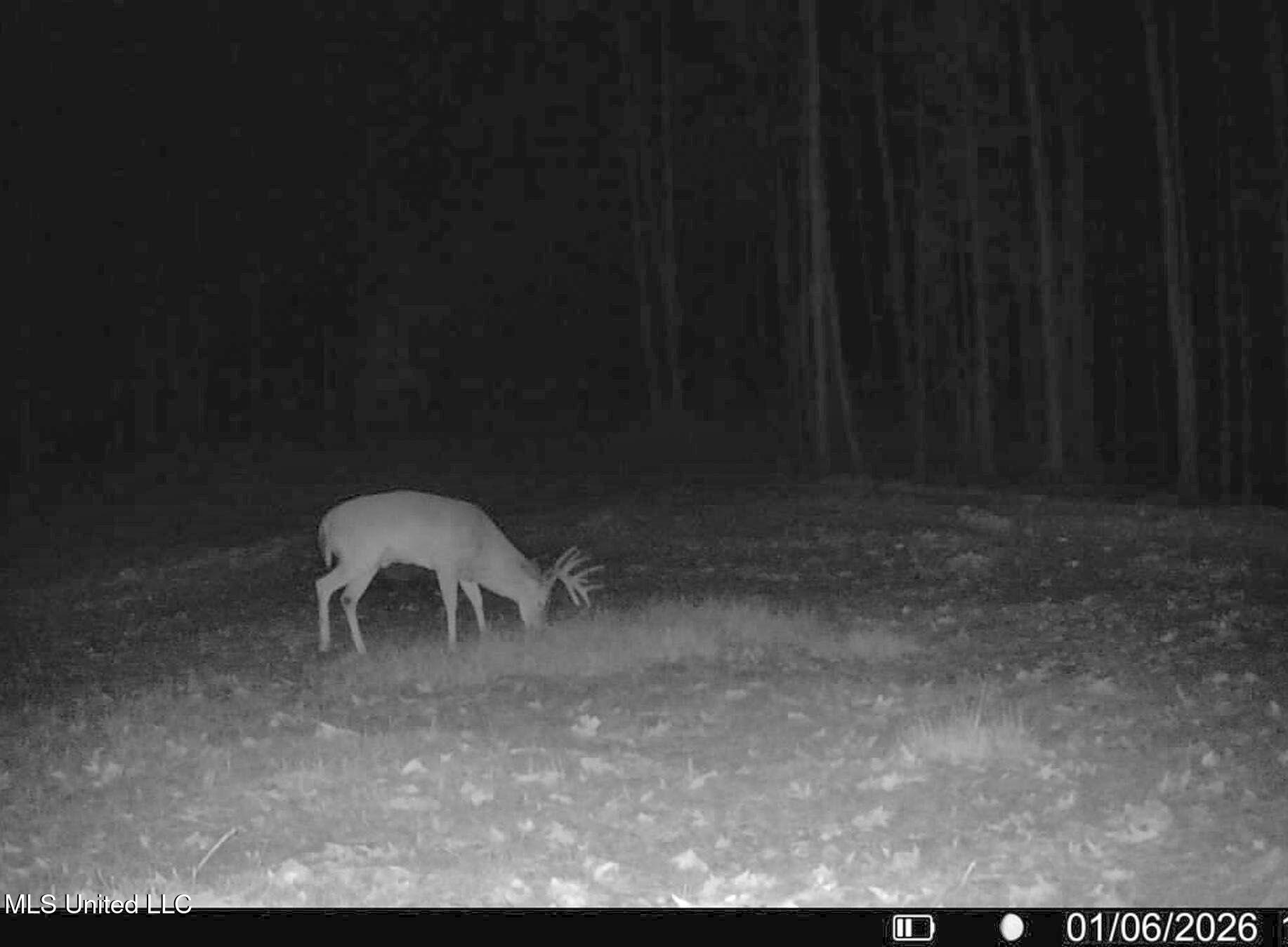 222 Beaverdam Road Camden, MS 39045 - Photo 4 of 42 madison 445 1.6.26